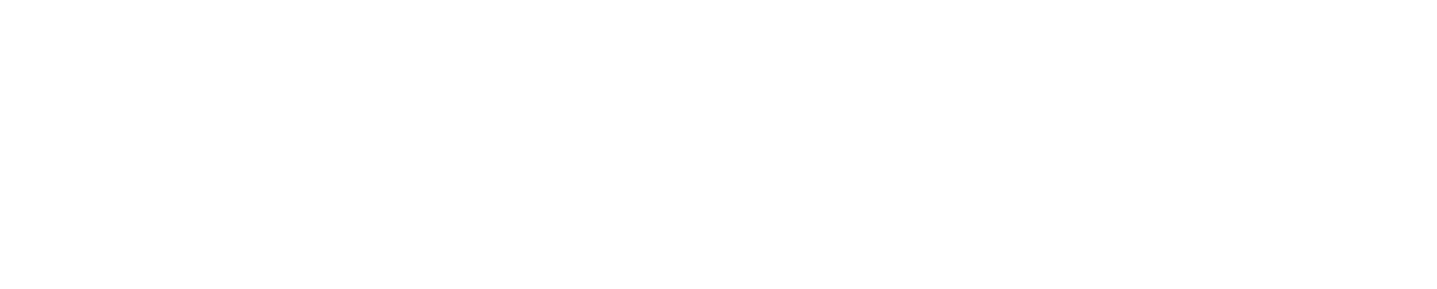 logo-nav